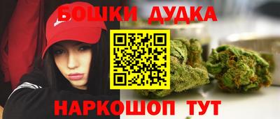 гашик Лесосибирск