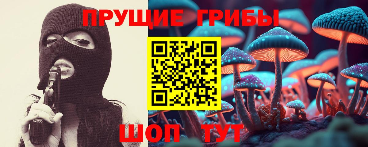 Жигулёвск  Галлюциногенные грибы GOLDEN TEACHER  Вход с VPN 